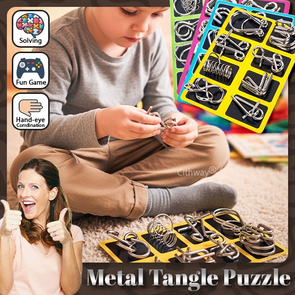 Cithway® 3D Metal Challenge Puzzle Toy