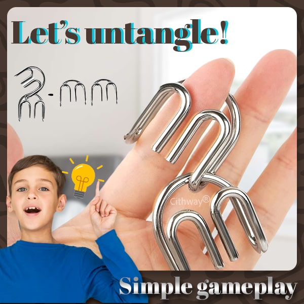 Cithway® 3D Metal Challenge Puzzle Toy